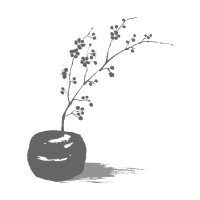 Logo accademia essenziale di Stefania Zani