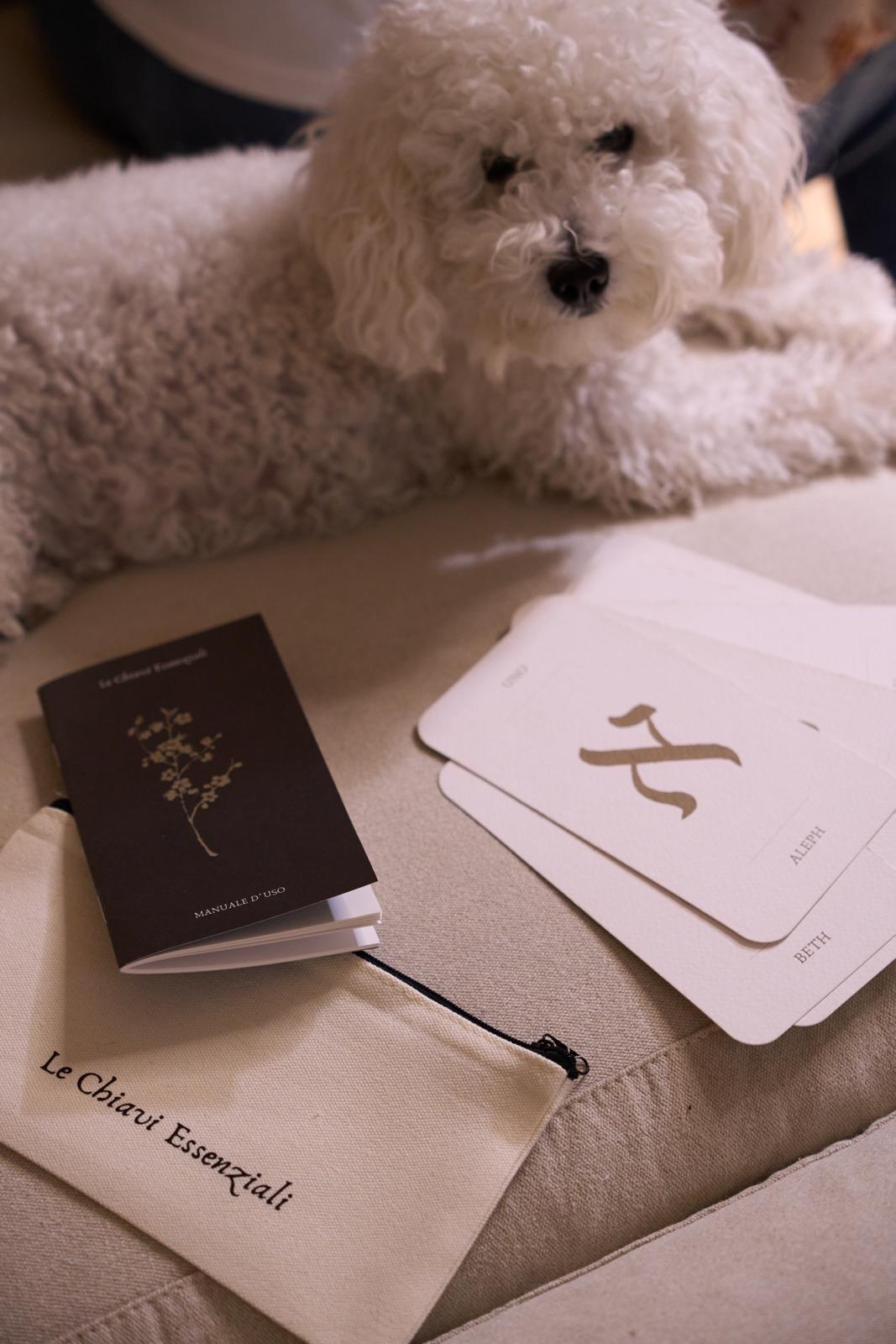 Le chiavi essenziali Stefania Zani