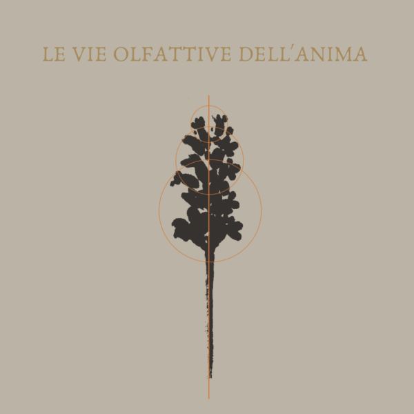 LE VIE OLFATTIVE DELL'ANIMA