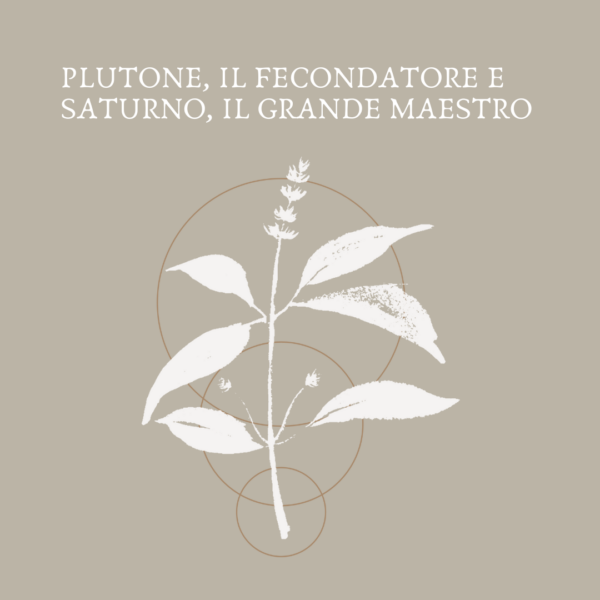 PLUTONE, IL FECONDATORE E SATURNO, IL GRANDE MAESTRO