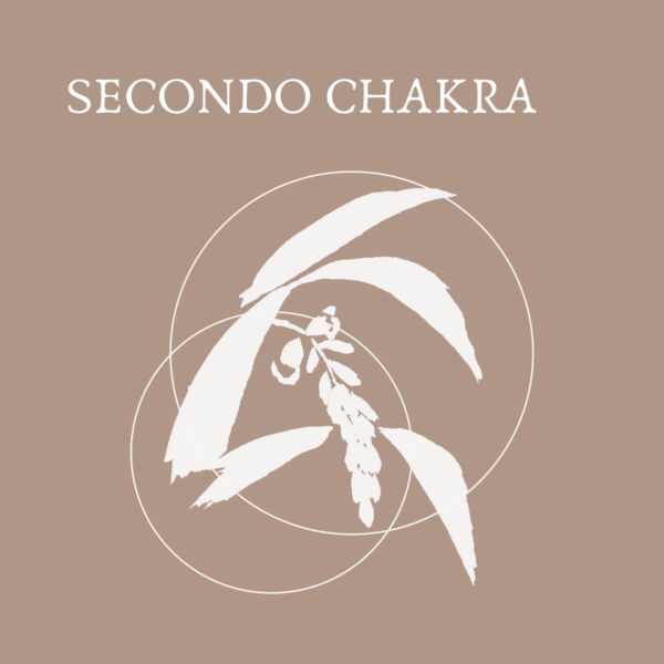 SECONDO CHAKRA