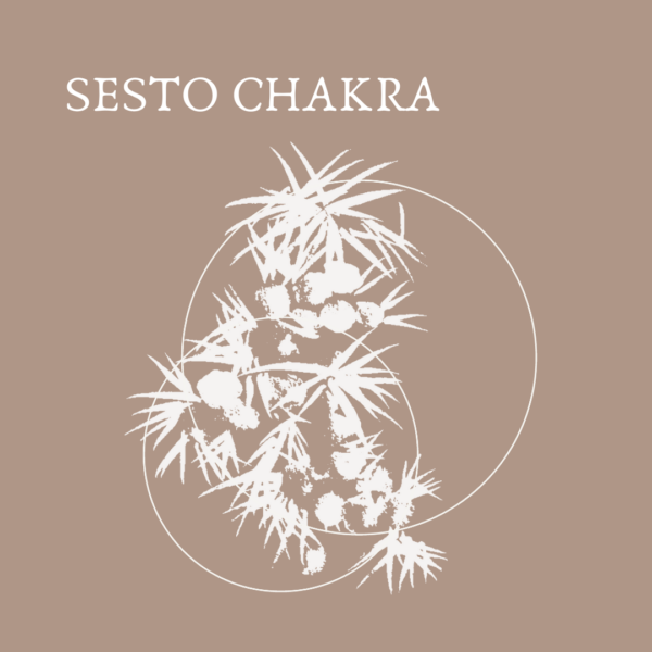 SESTO CHAKRA