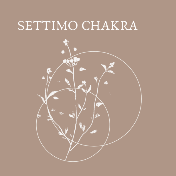 SETTIMO CHAKRA