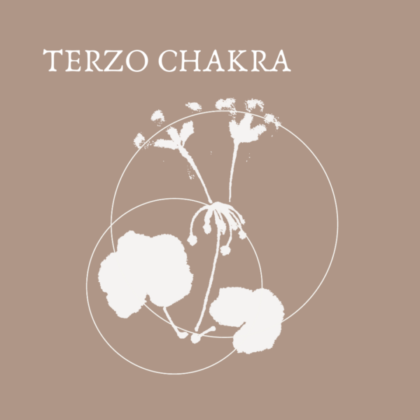 TERZO CHAKRA