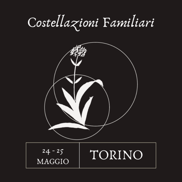 COSTELLAZIONI FAMILIARI - TORINO - 24 e 25 MAGGIO 2025