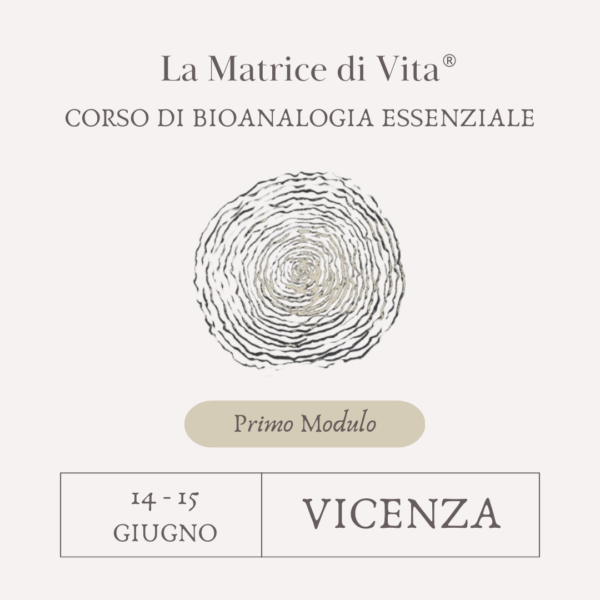 CORSO SULLA MATRICE DI VITA - PRIMO MODULO - VICENZA - 14/15 GIUGNO