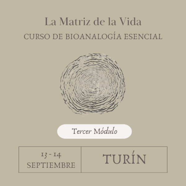 CURSO LIFE MATRIX - TERCER MÓDULO - TURÍN - 13/14 SEPTIEMBRE