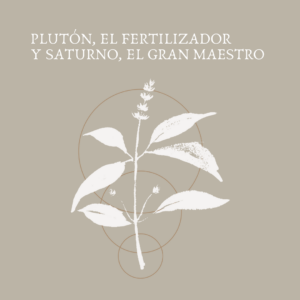 PLUTÓN, EL FERTILIZADOR Y SATURNO, EL GRAN MAESTRO