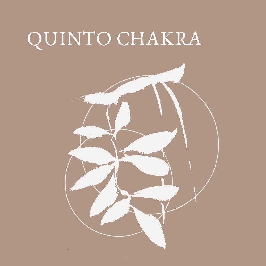 QUINTO CHAKRA