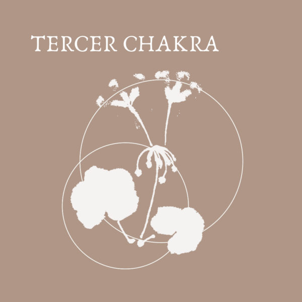 TERCER CHAKRA