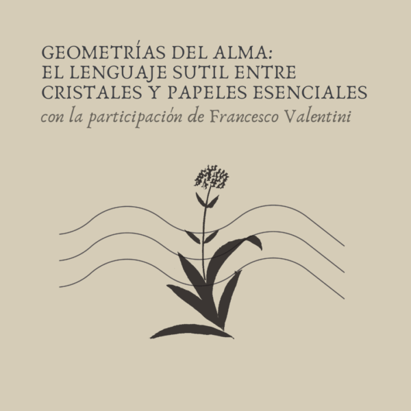 GEOMETRÍAS DEL ALMA: EL LENGUAJE SUTIL ENTRE CRISTALES Y PAPELES ESENCIALES