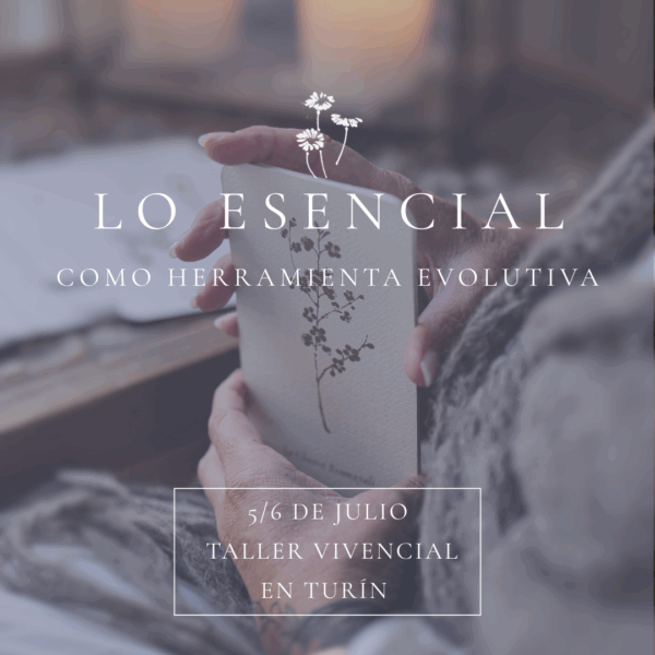 TALLER VIVENCIAL: LO ESENCIAL COMO HERRAMIENTA EVOLUTIVA