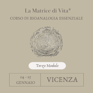 Matrice di Vita Bioanalogia