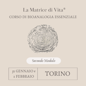CORSO SULLA MATRICE DI VITA - SECONDO MODULO - TORINO - 31 GENNAIO E 1 FEBBRAIO