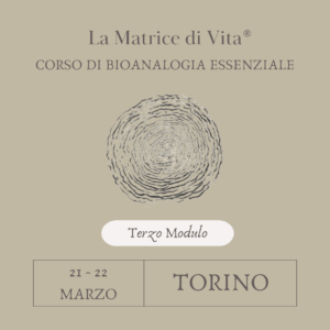 Secondo modulo del corso di Bioanalogia Essenziale che si terrà il 21 e 22 marzo a Torino