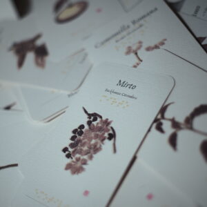 Le Essenziali Braille