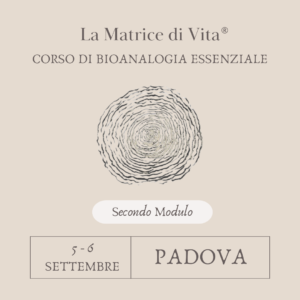 CORSO SULLA MATRICE DI VITA - SECONDO MODULO - PADOVA - 5/6 SETTEMBRE