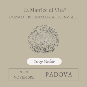 CORSO SULLA MATRICE DI VITA - TERZO MODULO - PADOVA -  21/22 NOVEMBRE