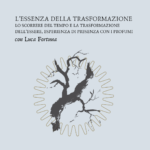 L'ESSENZA DELLA TRASFORMAZIONE